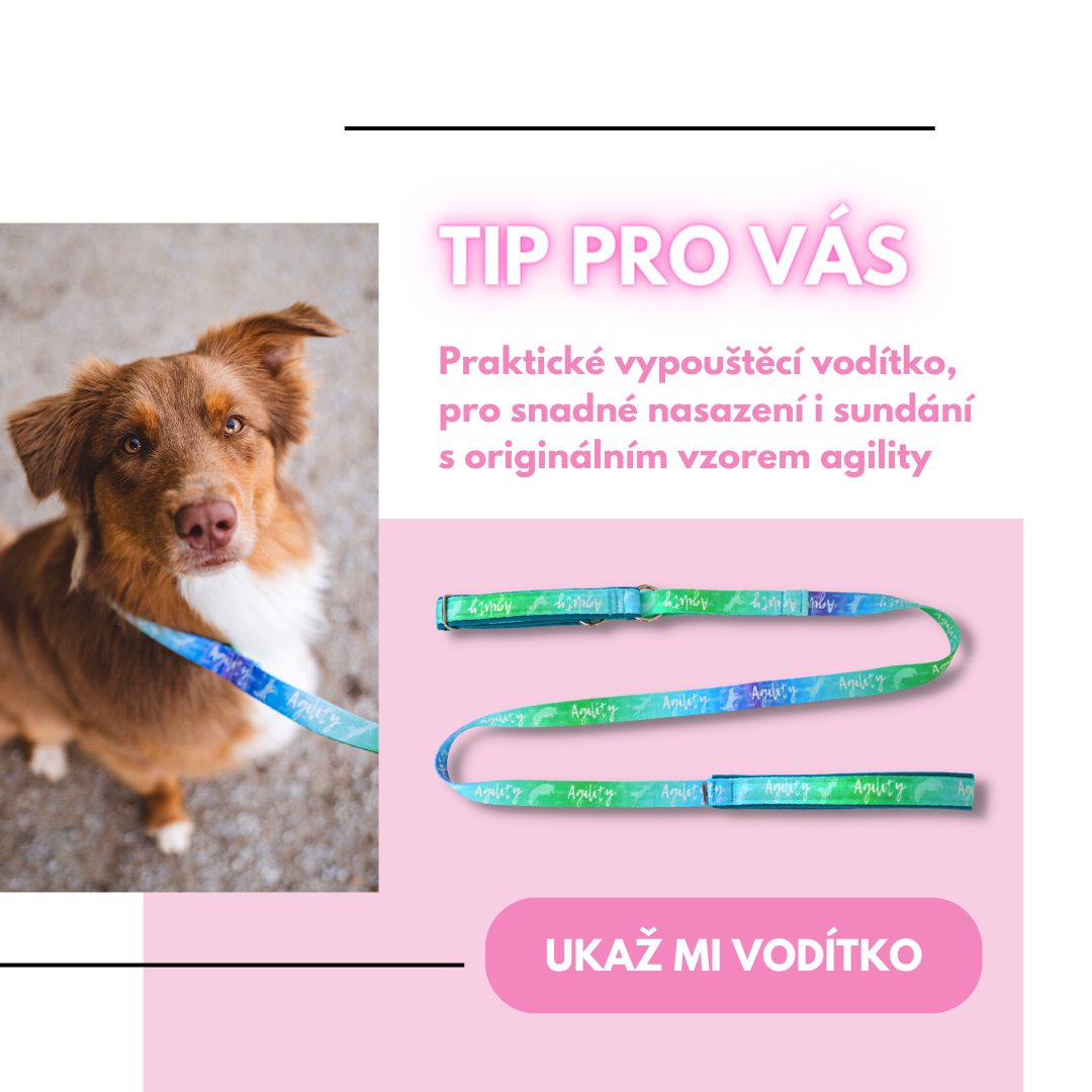 TIP PRO VÁS (1)